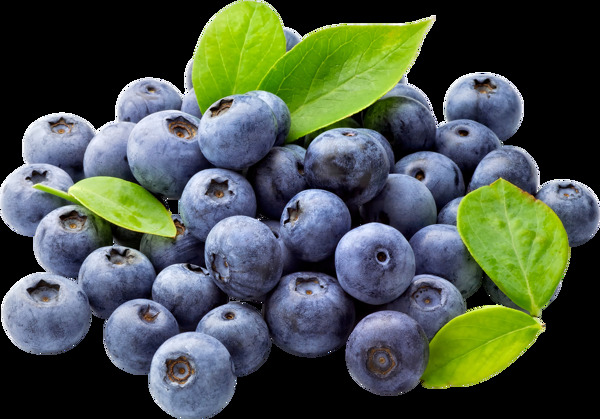 蓝莓食物免抠图食物