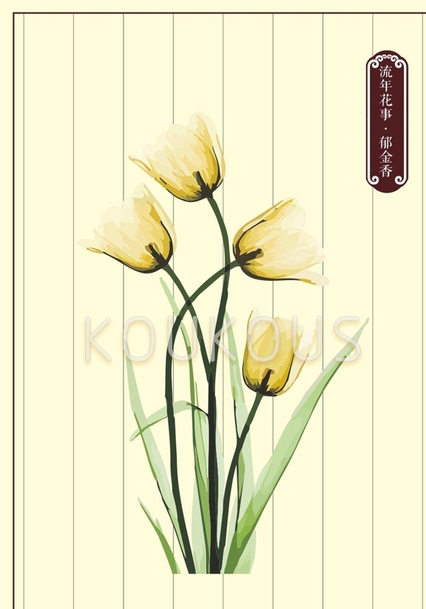 郁金香花卉素材图片