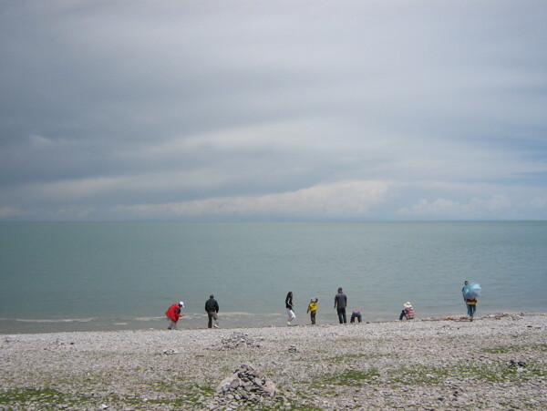 海邊沙碩圖片