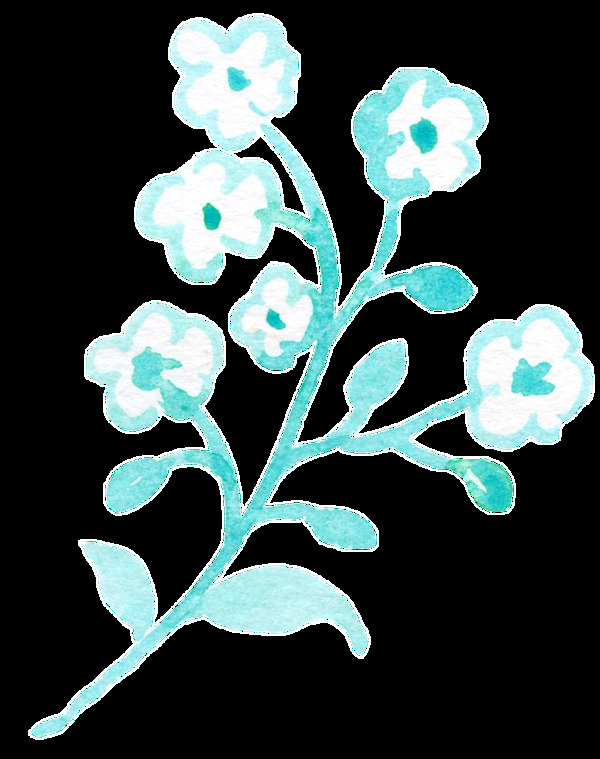 水藍花葉卡通透明素材