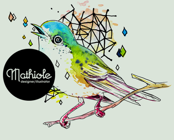 插畫插畫師Mathiole巴西小鳥免費(fèi)素材