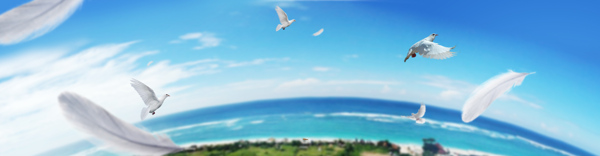 戶外背景