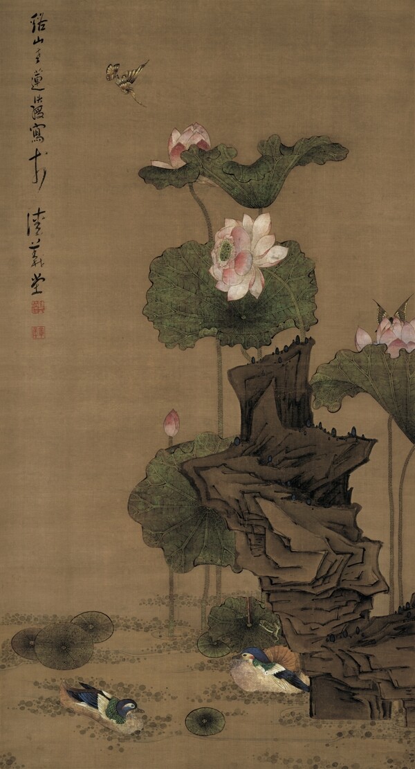 荷花鴛鴦圖圖片