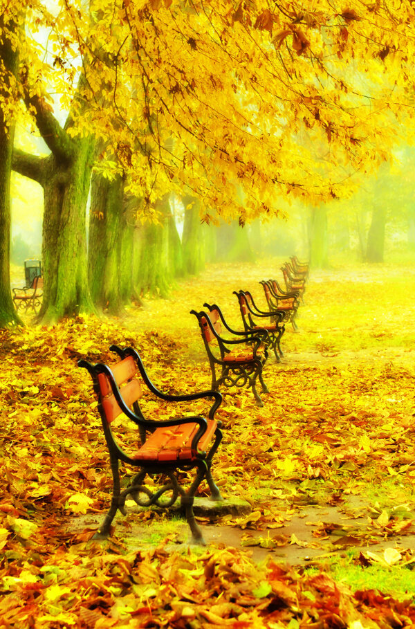 秋天公园风景摄影