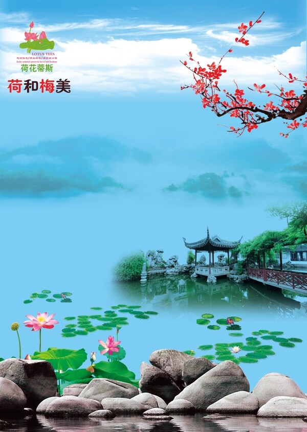 荷和梅美圖片
