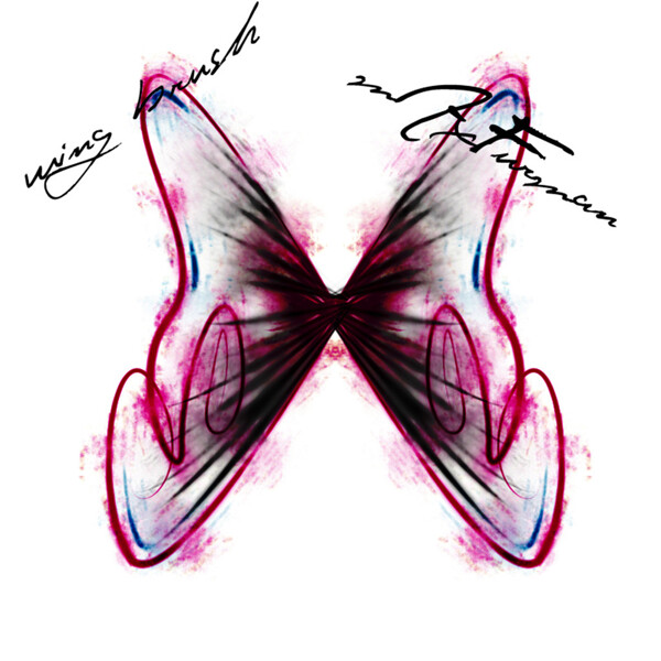 抽象涂鸦蝴蝶装饰PS笔刷