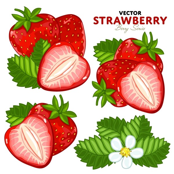 手绘新鲜的草莓插画