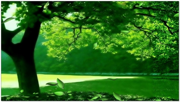树木绿色背景素材