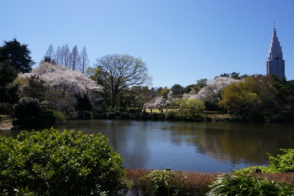 日本花园风景图片