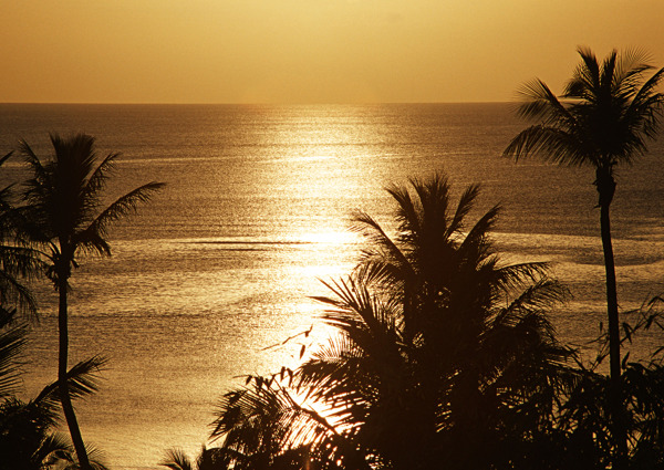 黄昏里的夏威夷海岸图片
