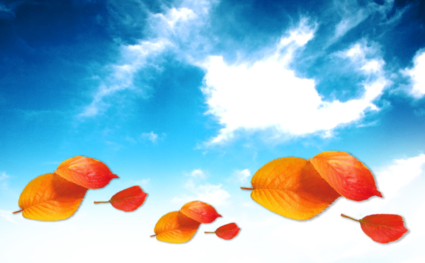 bh160250x155