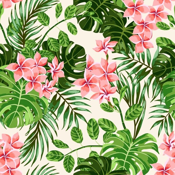 熱帶花朵