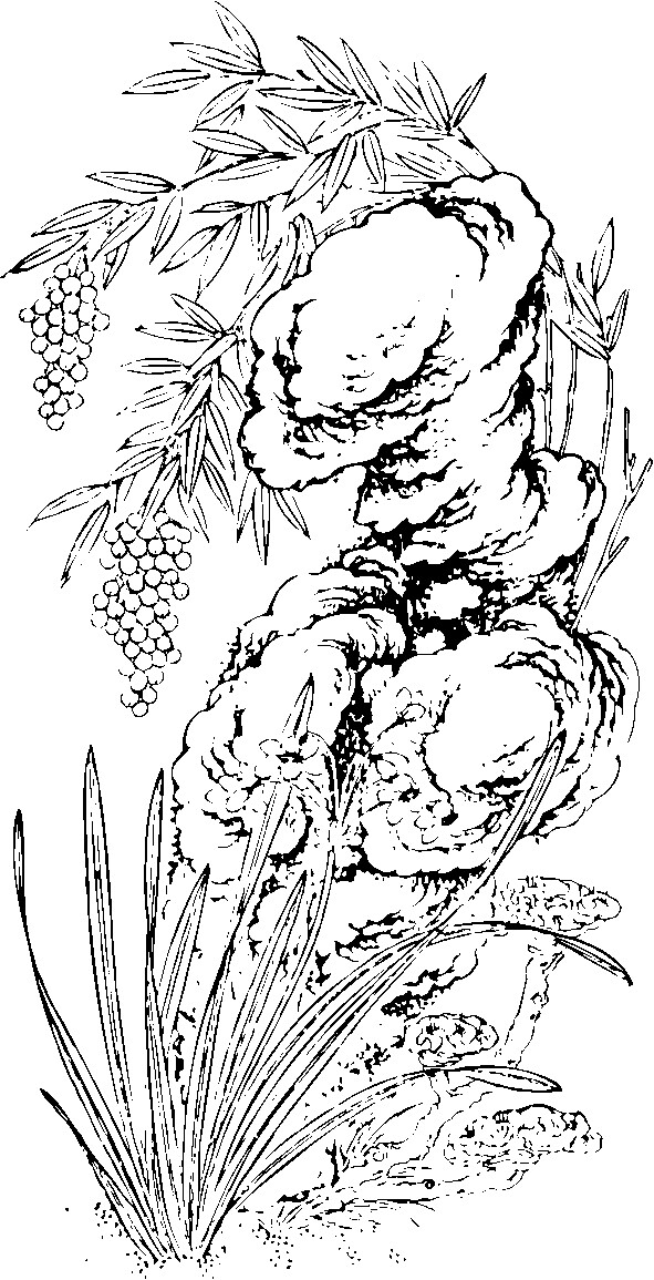 吉祥圖案中國傳統(tǒng)圖案圖案304