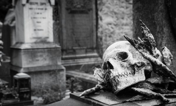 骷髅与坟墓图片