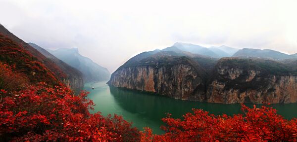 长江三峡三峡红叶