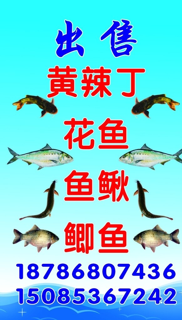 魚招牌