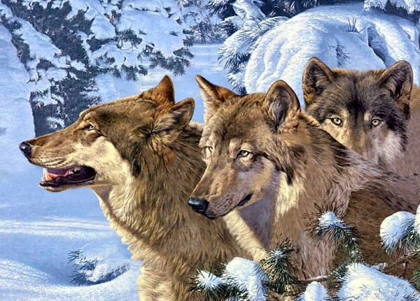 三匹狼3D立体光栅图PSD下载