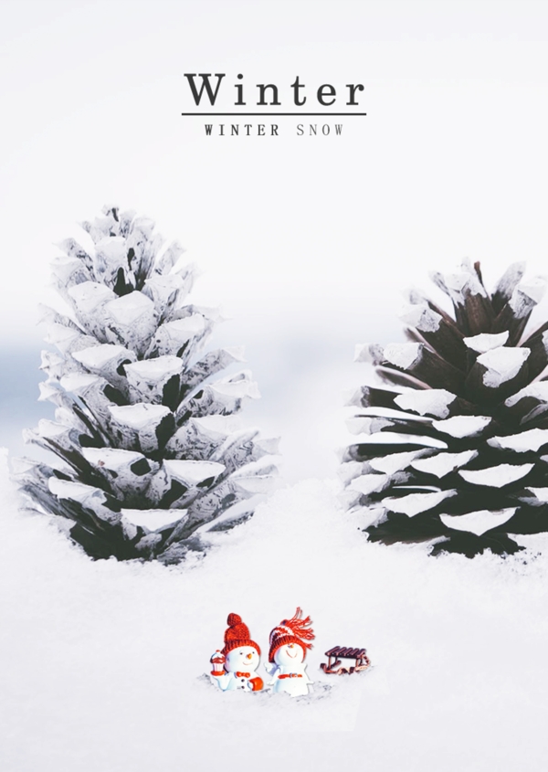 白色松子冬季雪景简画海报