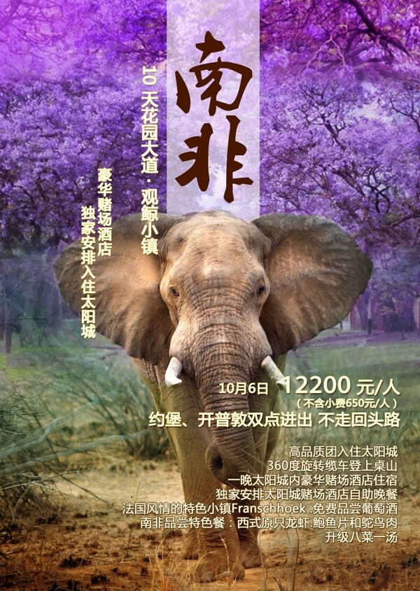 广告南非大象紫薇花