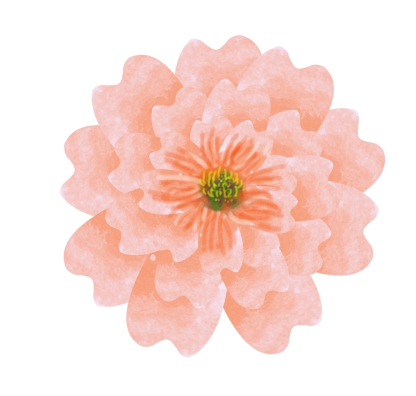 粉色的花朵装饰插画