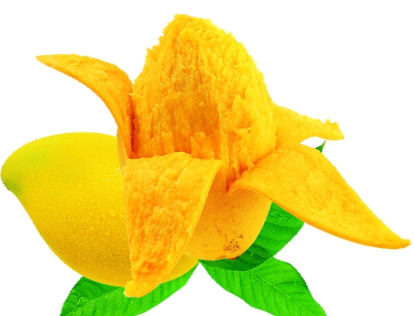 芒果圖片