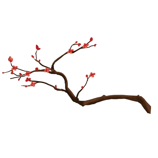 手繪花卉png素材