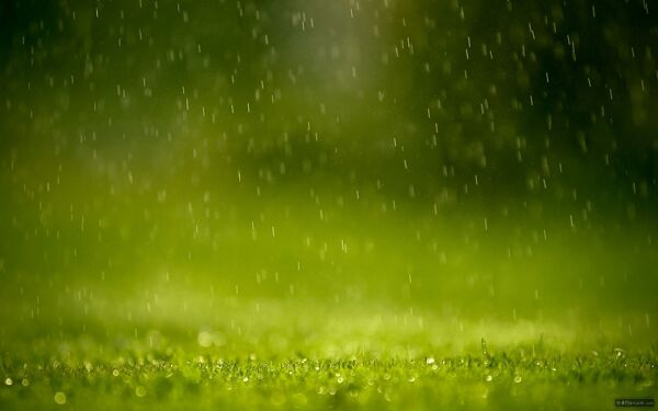 小清新綠色背景細(xì)雨