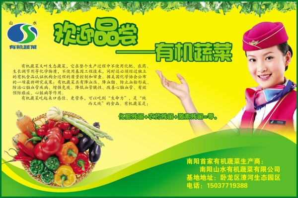 有機(jī)蔬菜海報(bào)圖片