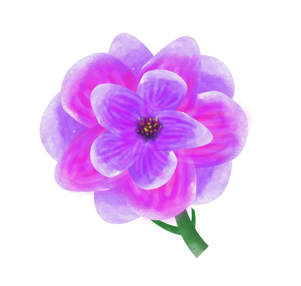 紫色的花朵装饰插画