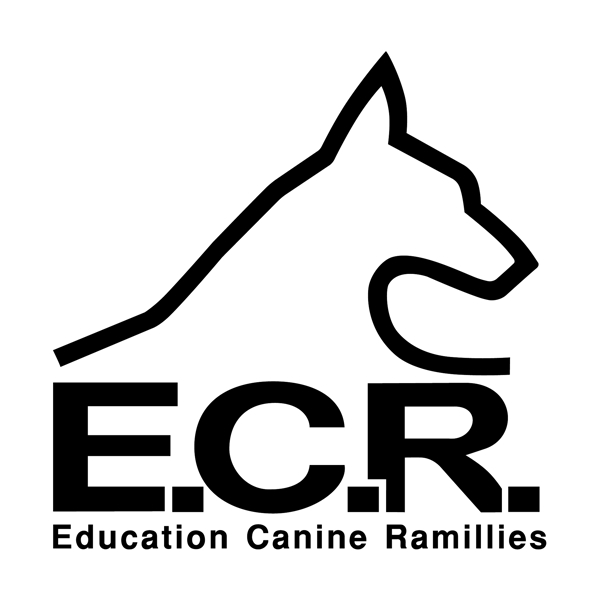 ECR