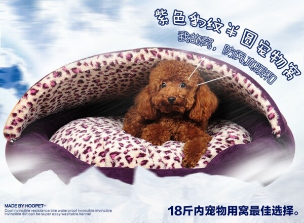 冰爽紫色狗窩促銷海報(bào)
