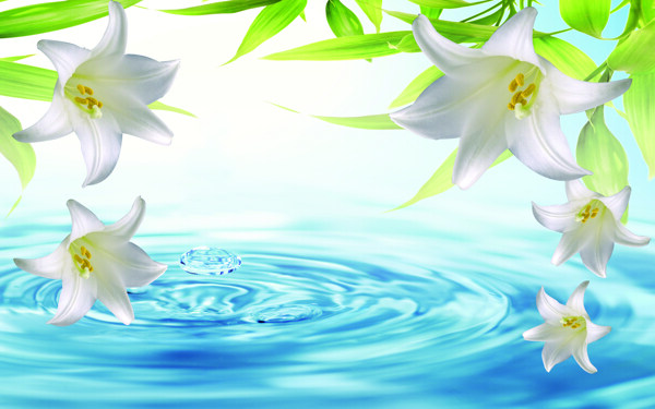 百合花裝飾背景墻