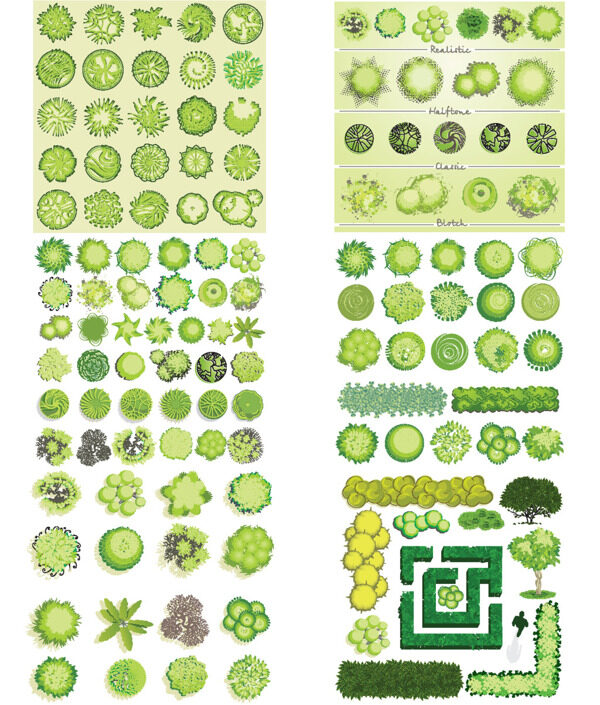 綠色的植物