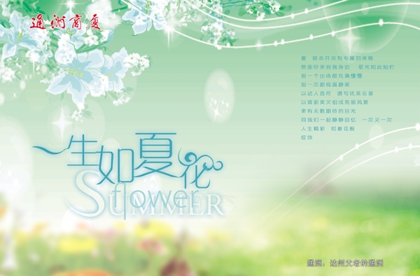 夏天吊旗圖片