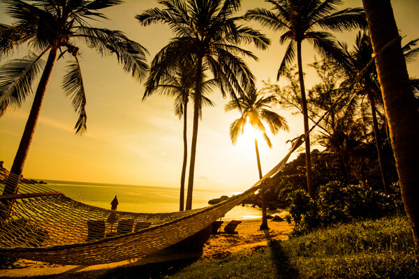 海边日落椰树风景图片