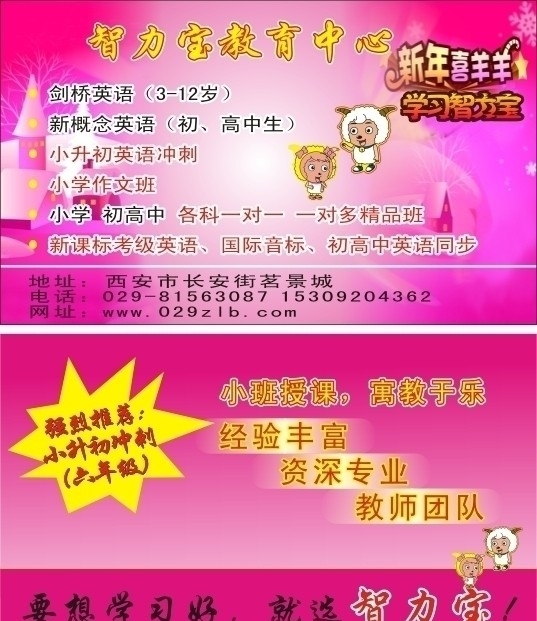 智力寶圖片