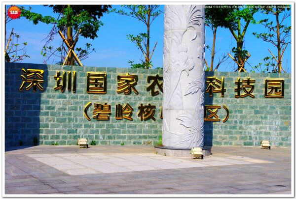 深圳国家农业科技园图片