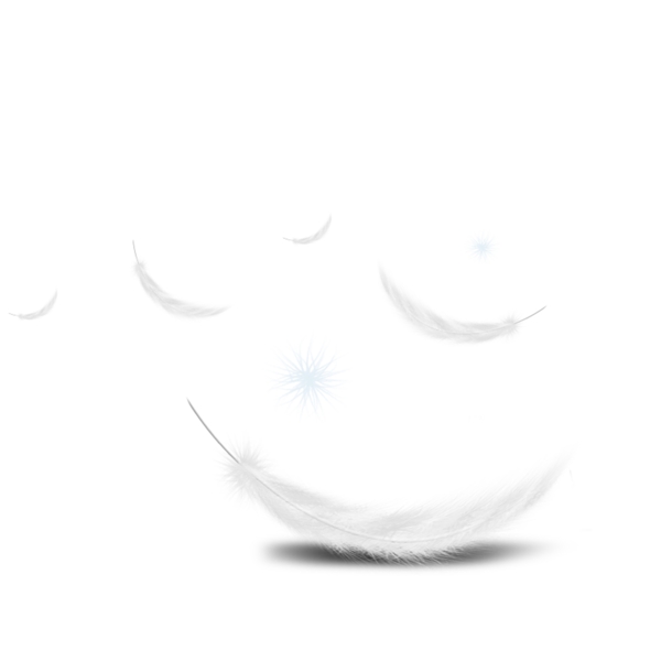 白色羽毛漂浮元素