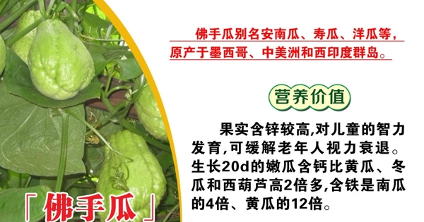 菜品介紹圖片