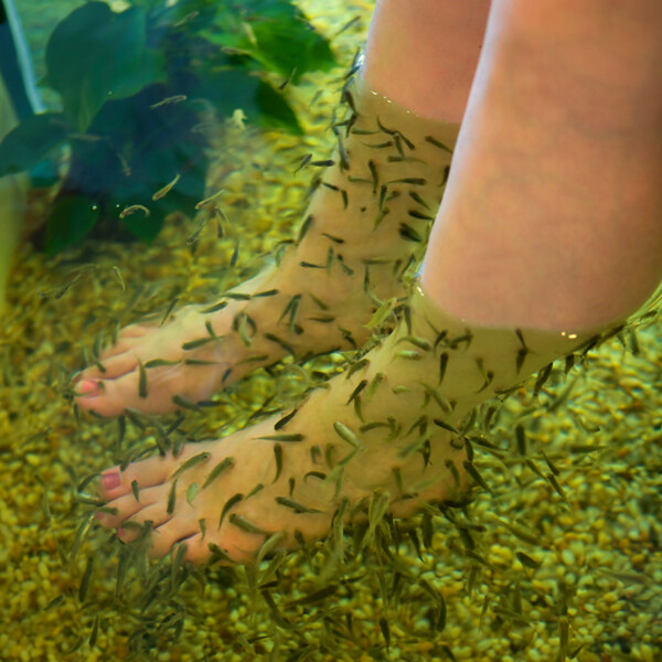 小魚溫泉圖片