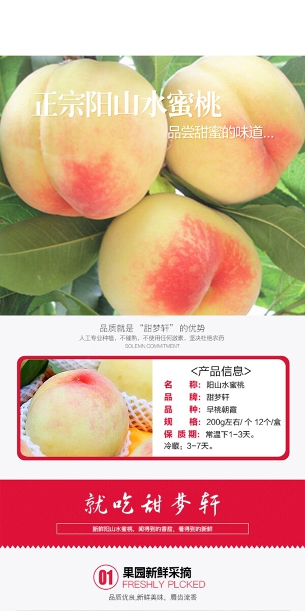 水蜜桃詳情