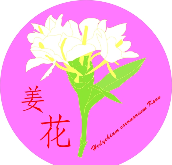 姜花logo
