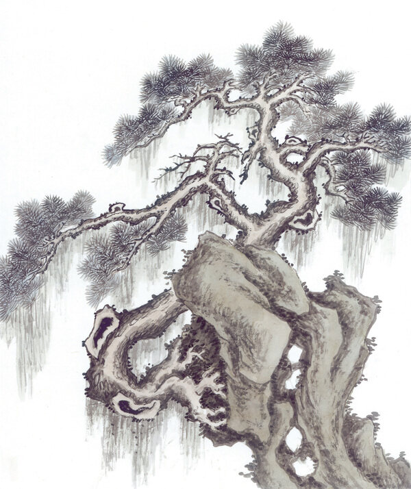 松樹延年