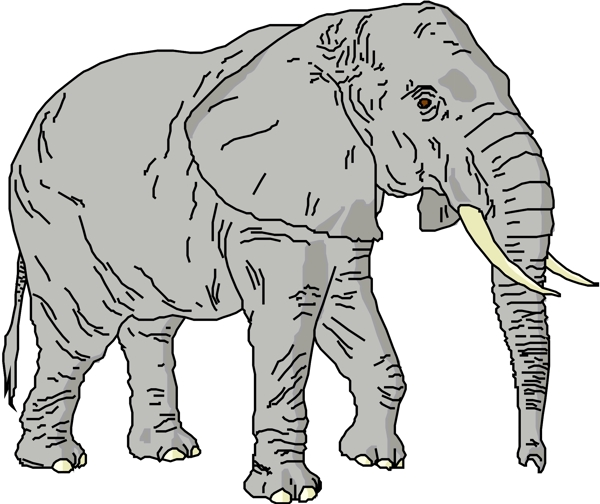 野生動物49