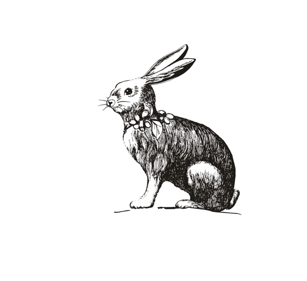 兔子简笔画矢量素材