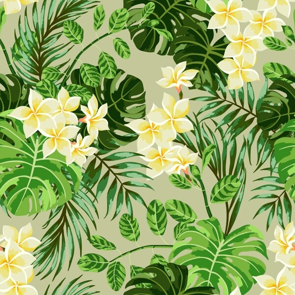 熱帶花朵