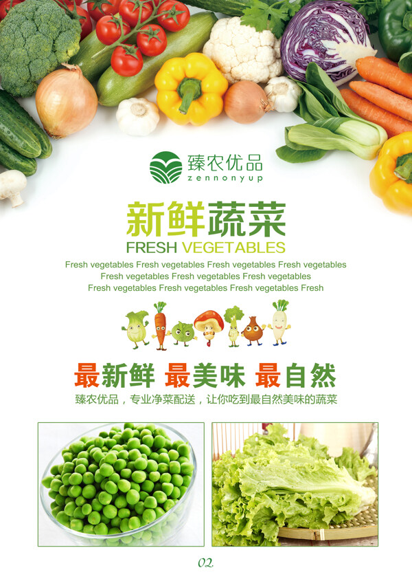 農(nóng)業(yè)宣傳單水果蔬菜