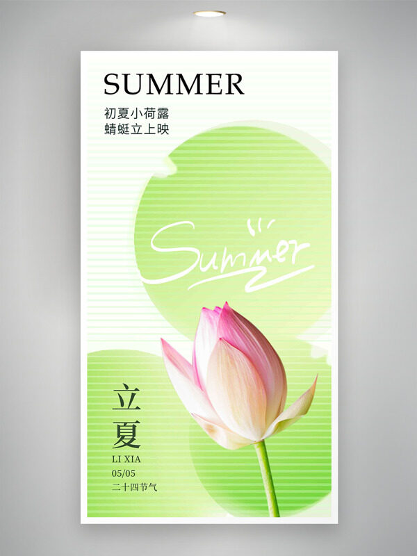初夏小荷露蜻蜓立上映立夏節(jié)氣海報