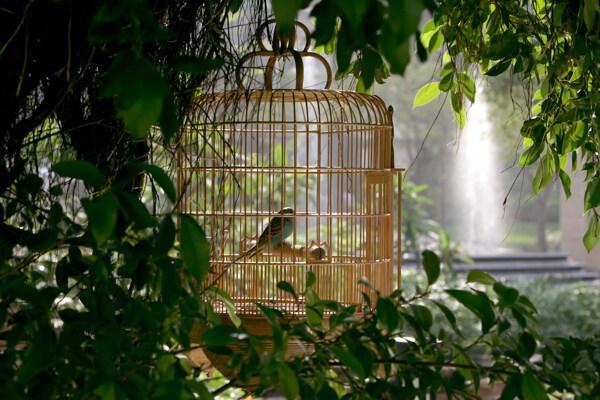 公园鸟笼子