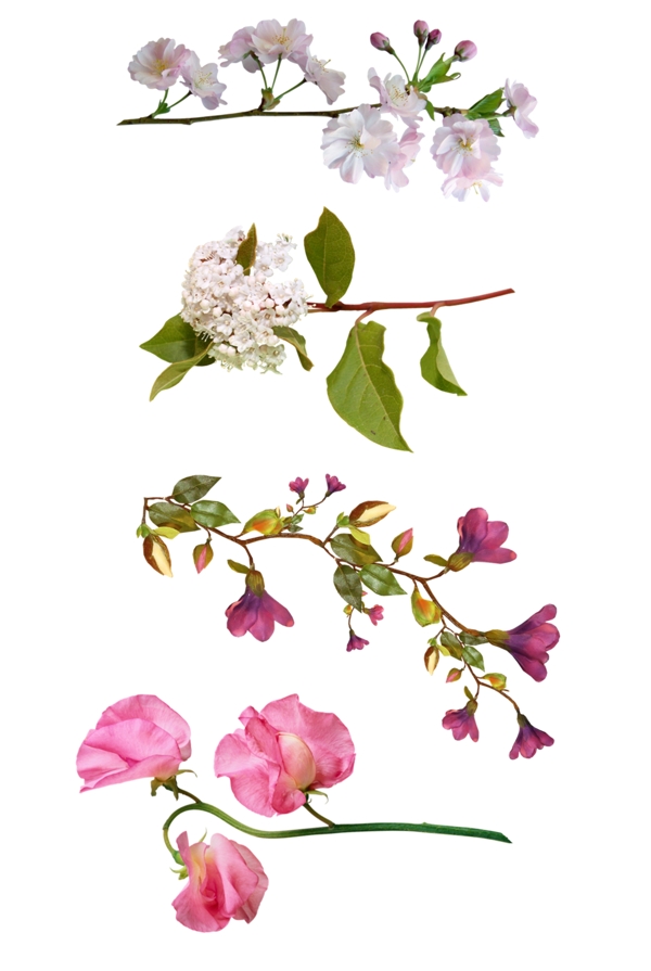 花
